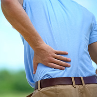 Spine questions? Learn from the expert.