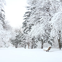 Winter Arthritis Pain