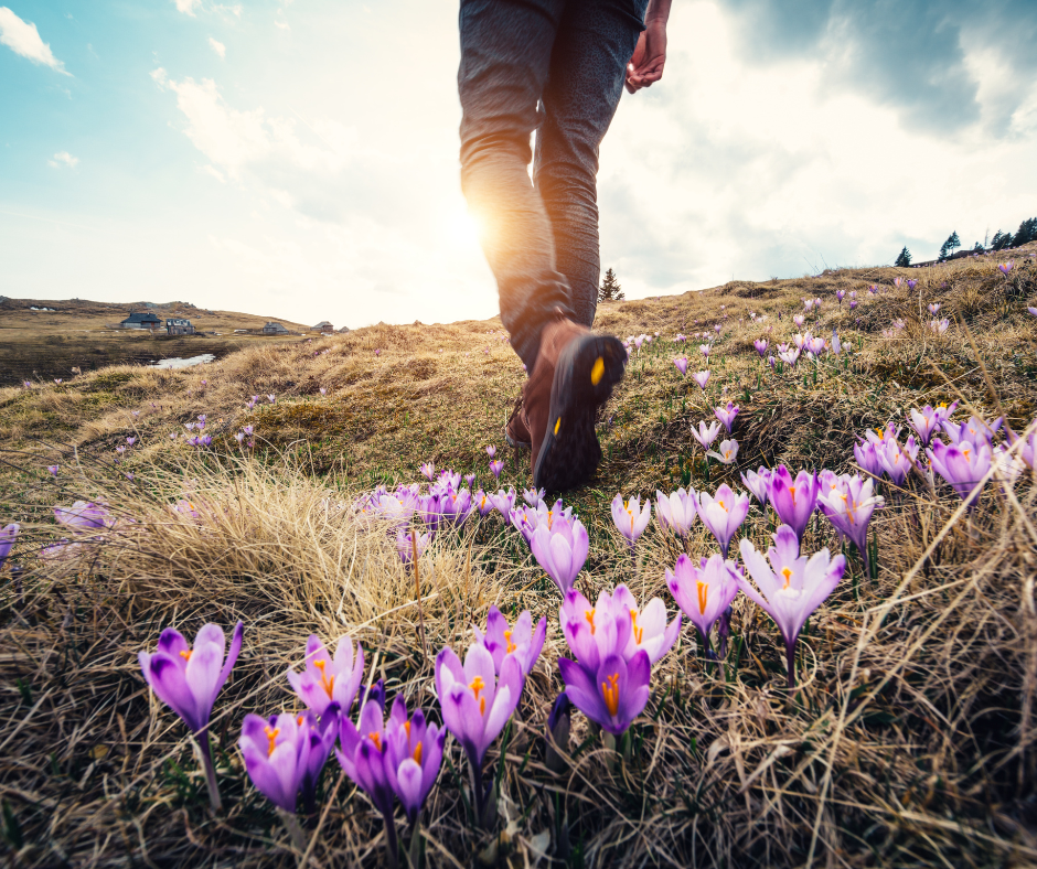 active_spring