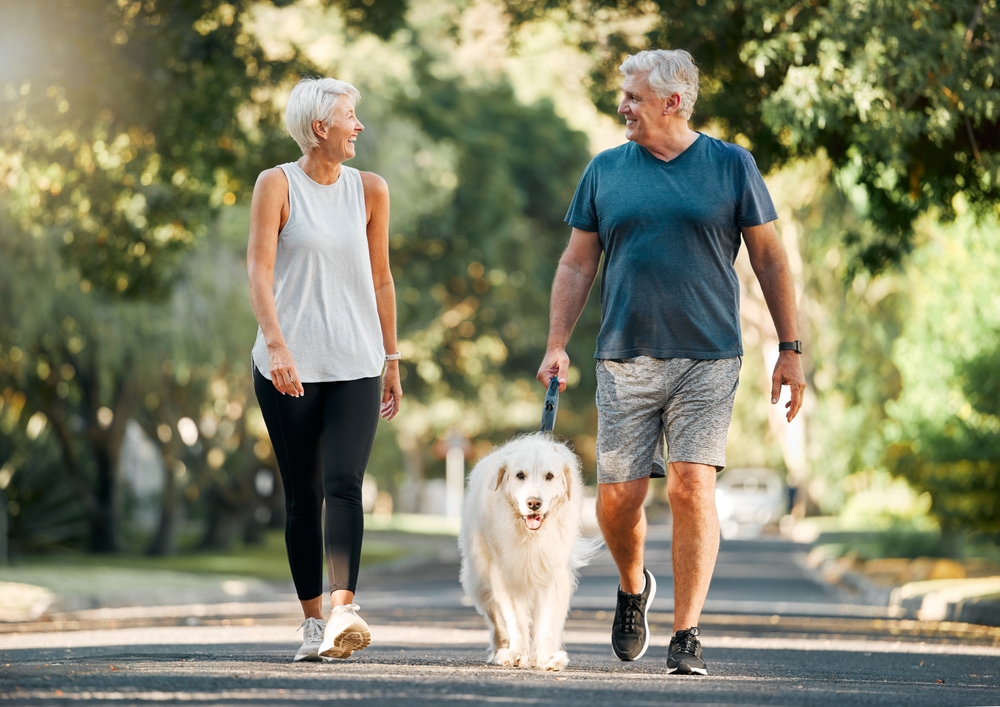 Older couple walks their dog in the park, pain free
